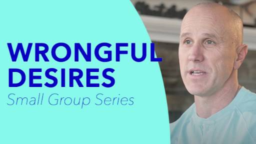 view the Small Group Study Wrongful Desires