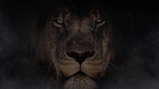 view the Motion Background Brave One