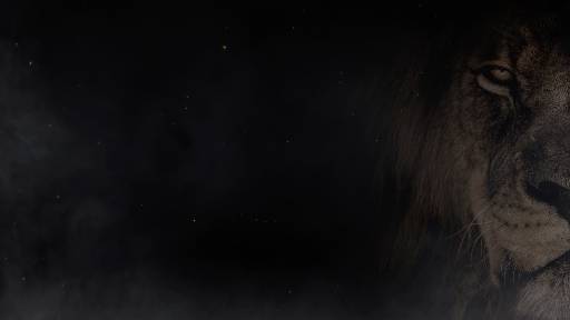 view the Motion Background Brave Two