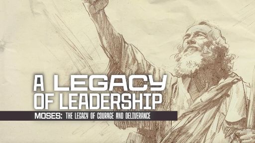 view the Video Illustration Week 2 Bumper Video