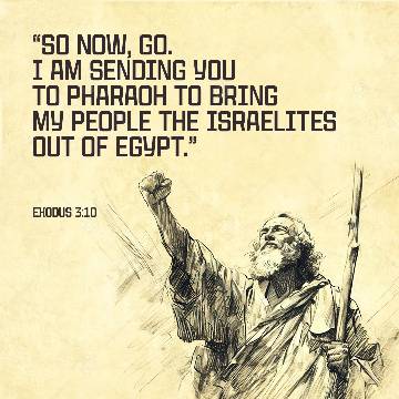 view the Social Graphic Social Graphic 2