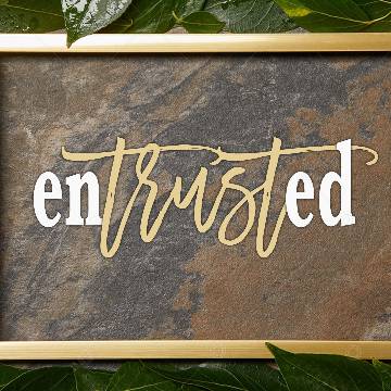 view the Social Graphic Social Title Graphic