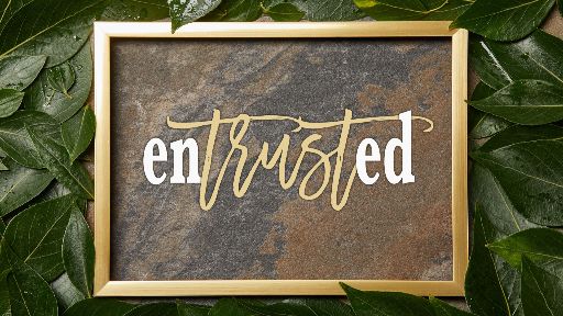 view the Video Illustration Social Promo Video