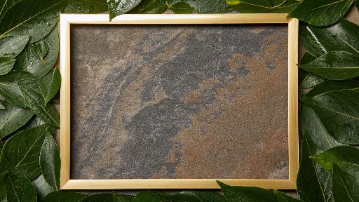 view the Motion Background Blank Motion