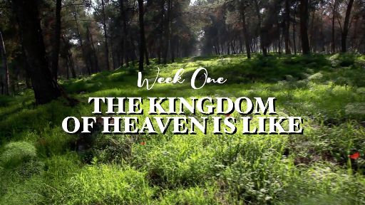 view the Video Illustration Week 1 Bumper Video