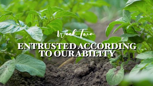 view the Video Illustration Week 2 Bumper Video