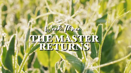 view the Video Illustration Week 3 Bumper Video