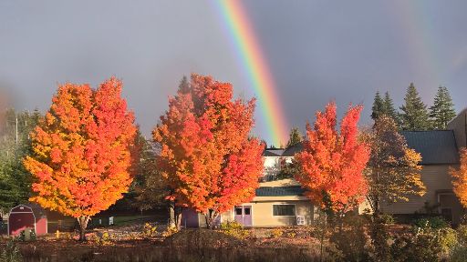 view the Still Background Rainbow Over Changing Leaves