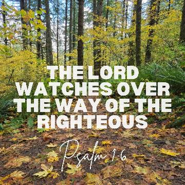 view the Social Graphic The Way of the Righteous (Psalm 1:6)