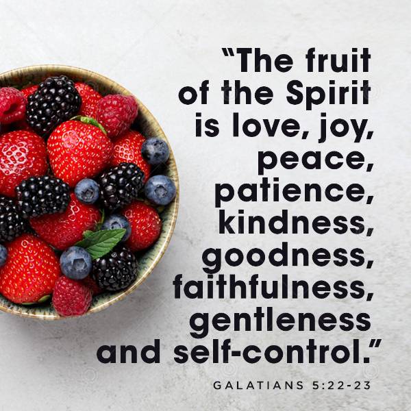 Fruit of the Spirit  Social Graphic