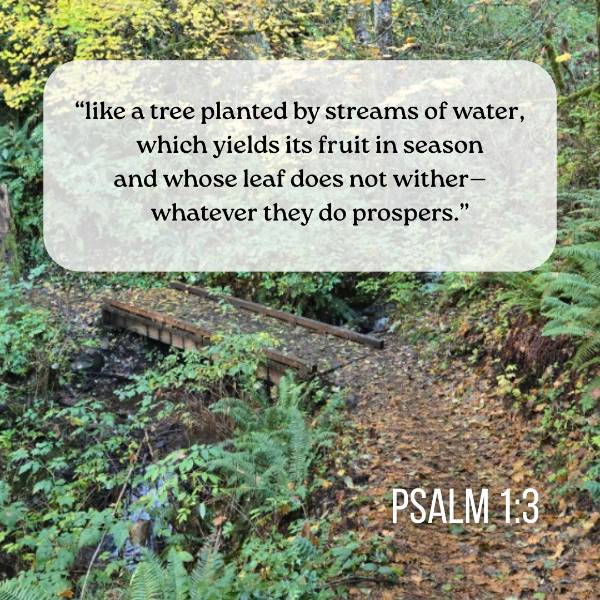 Like a Tree Planted (Psalm 1:3) Social Graphic