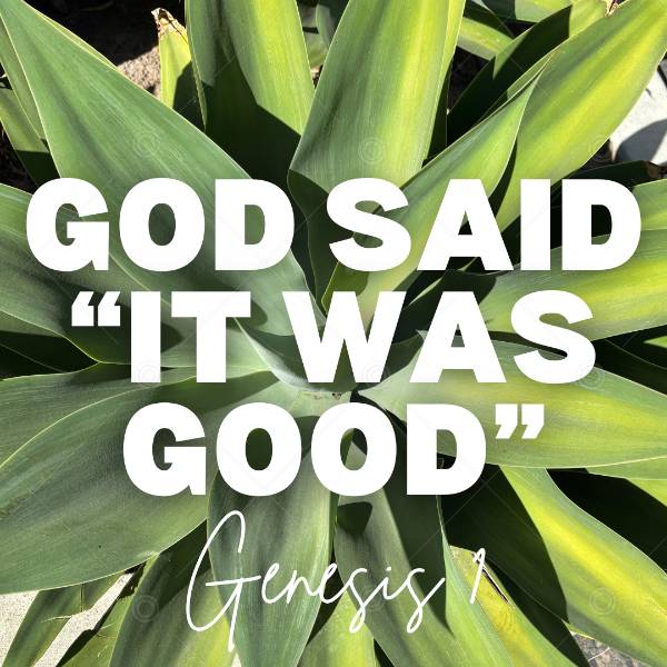 God Said, "It Was Good" Social Graphic
