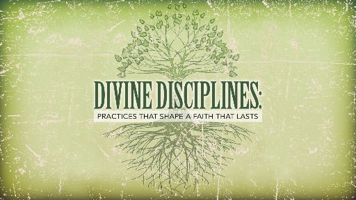 view the Video Illustration Divine Disciplines