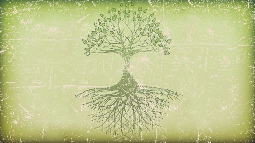 view the Motion Background Tree and Roots Motion