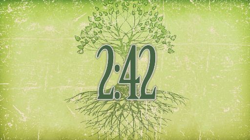 Countdown Video on Tree And Roots Countdown Timer