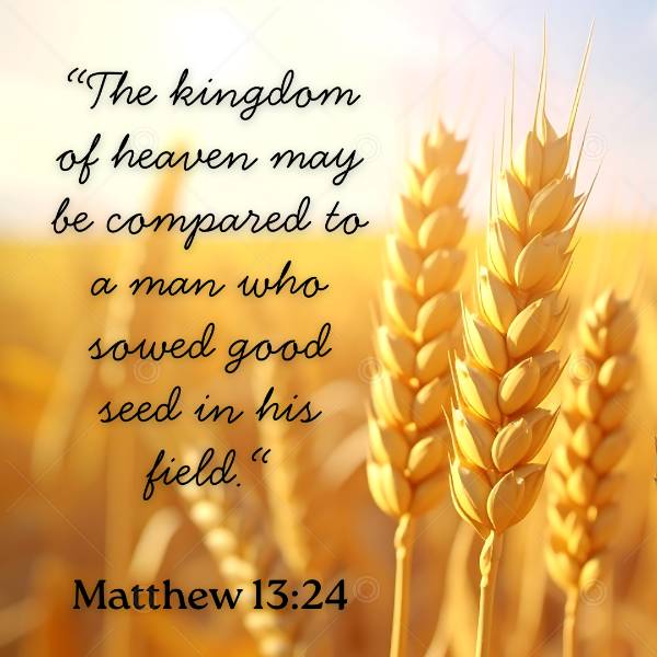 A Man Who Sowed Good Seed (Matthew 13:24) Social Graphic