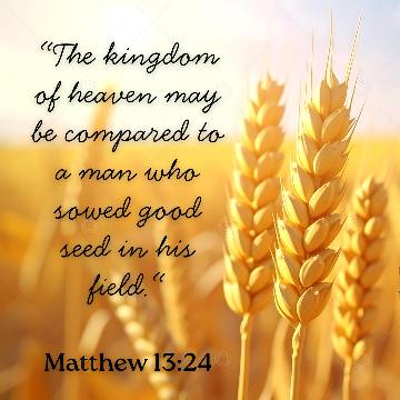 Social Graphic on A Man Who Sowed Good Seed (Matthew 13:24)
