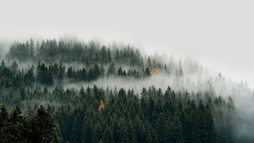True Worship Begins in the Wilderness Preaching Slide