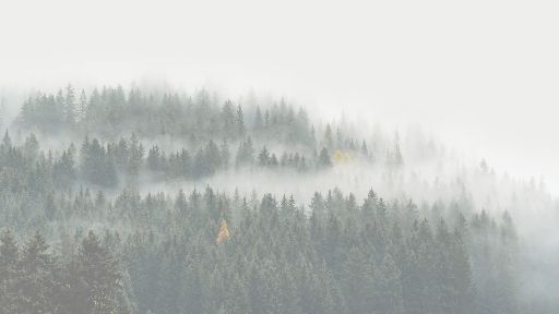 True Worship Begins in the Wilderness Preaching Slide