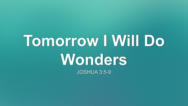 Tomorrow I Will Do Wonders