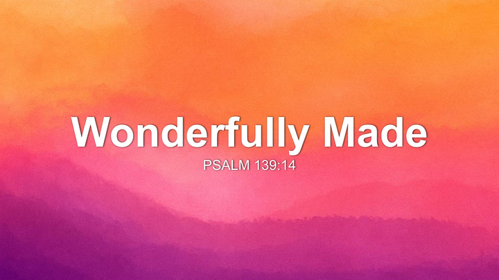 Wonderfully Made thumbnail