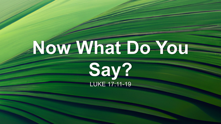 Now What Do You Say?