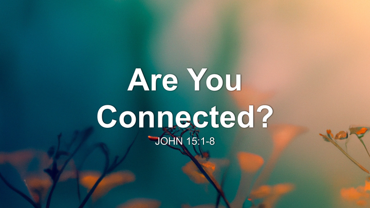 Are You Connected?