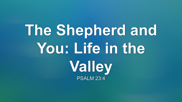 The Shepherd And You: Life In The Valley thumbnail