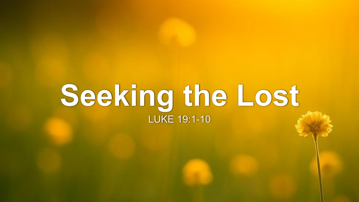 Seeking The Lost thumbnail