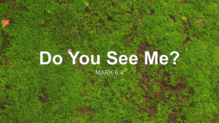 Do You See Me?