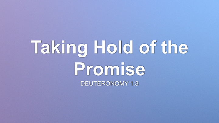 Taking Hold of the Promise