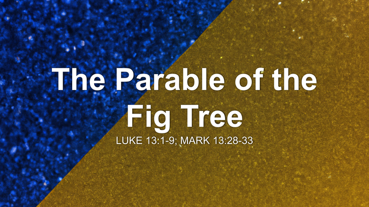 The Parable of the Fig Tree