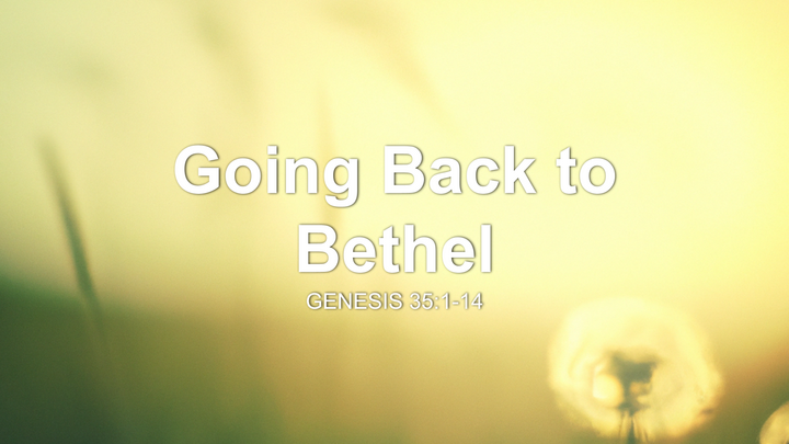 Going Back to Bethel