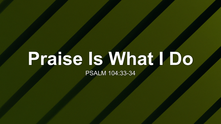 Praise Is What I Do