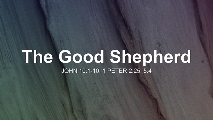 The Good Shepherd