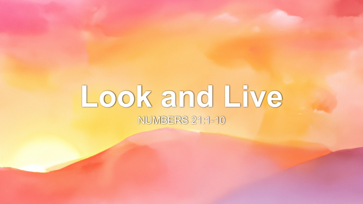 Look and Live