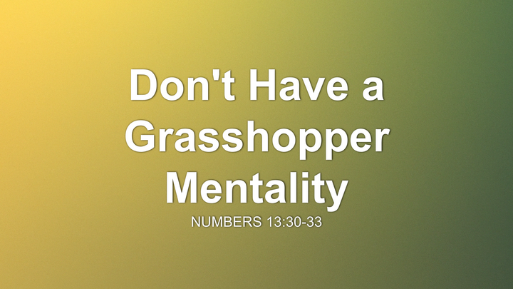 Don't Have a Grasshopper Mentality