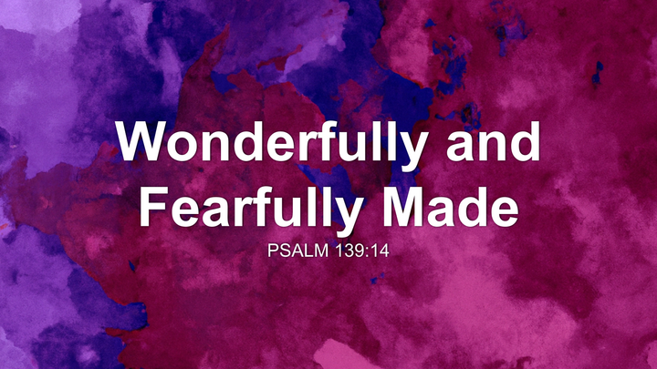 Wonderfully and Fearfully Made