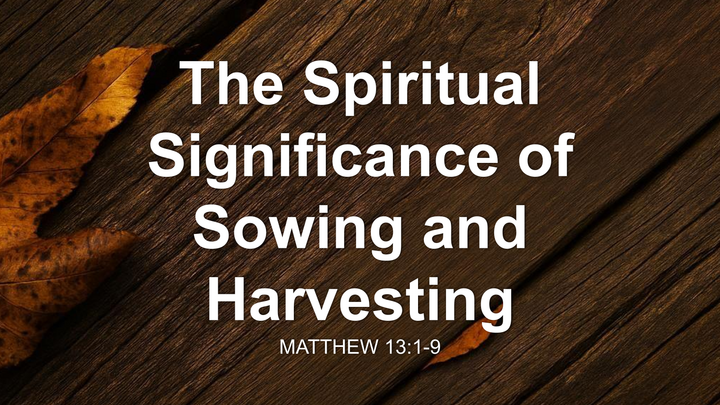 The Spiritual Significance Of Sowing And Harvesting thumbnail