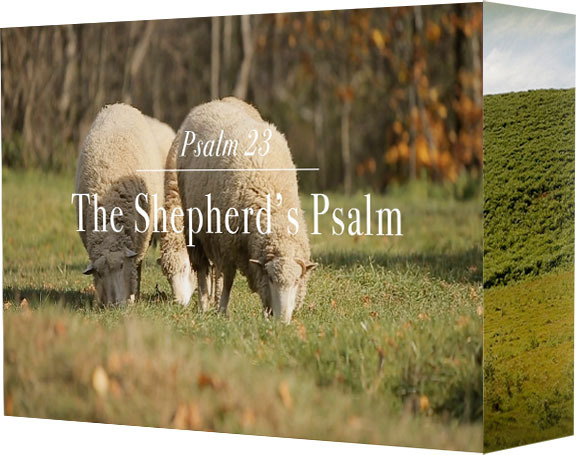 Psalm 23 1 6 Sermon Outline RehnaLehana